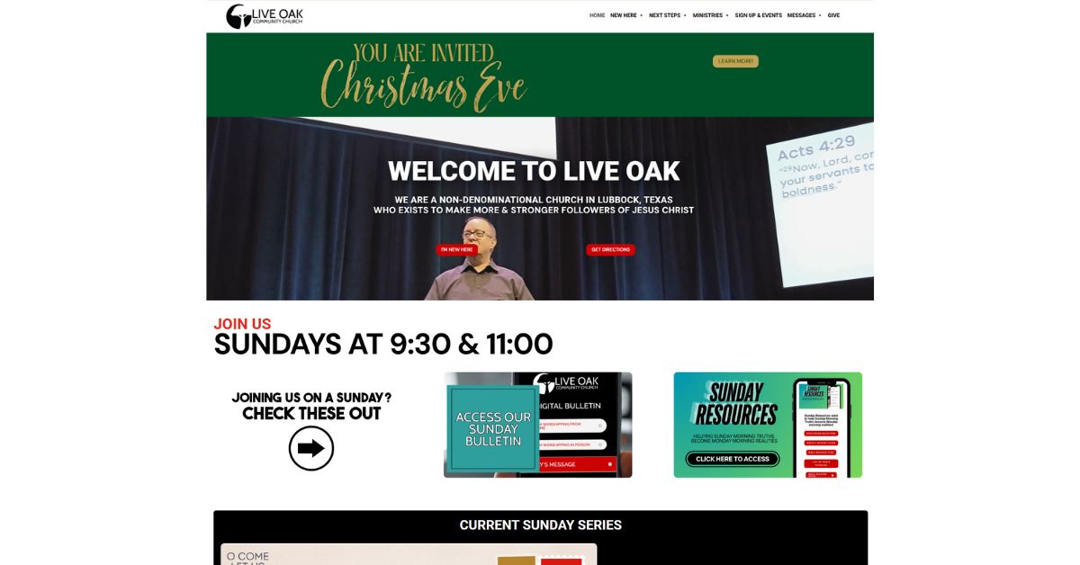 LIVE OAK